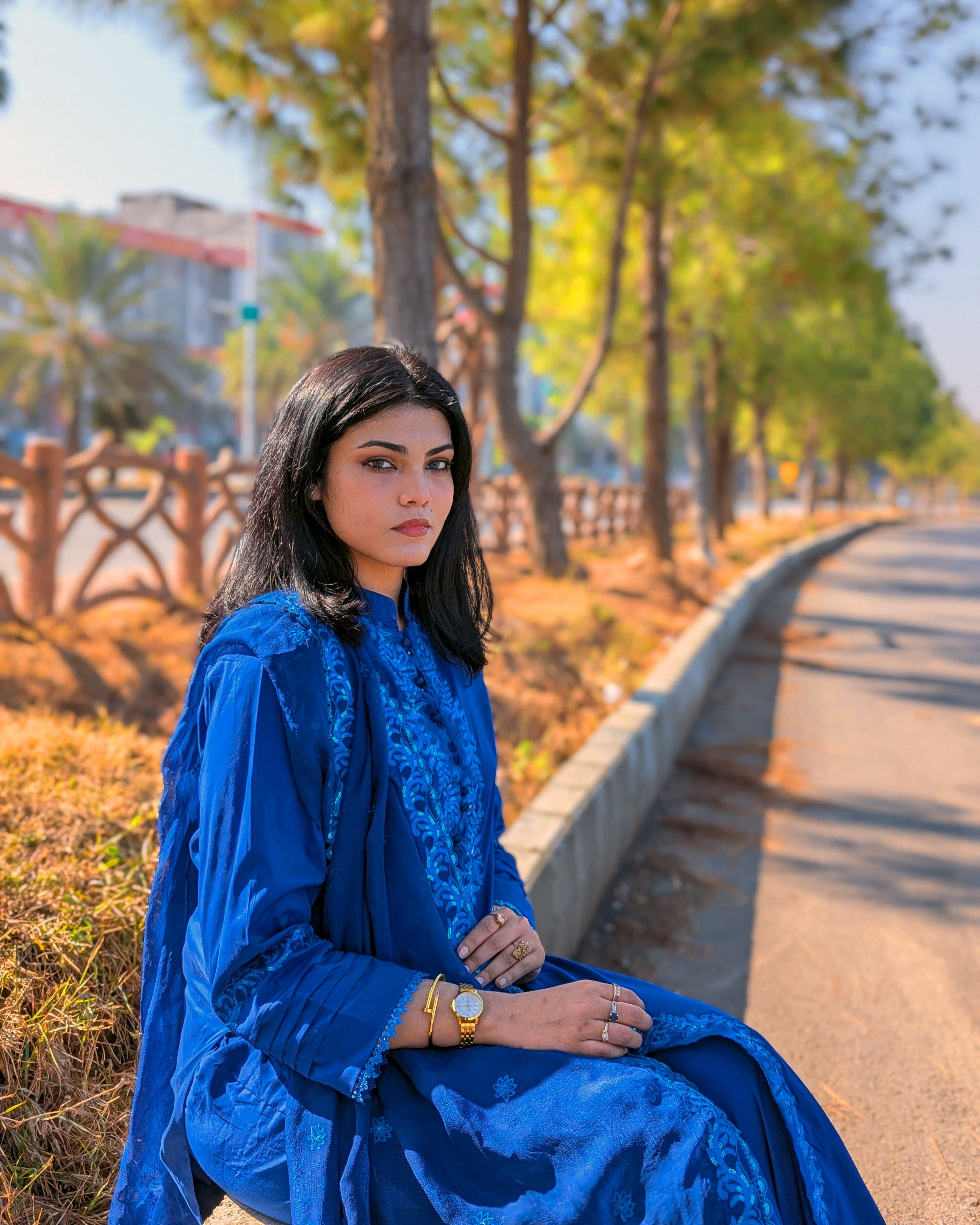 Shaam-e-Neelam
