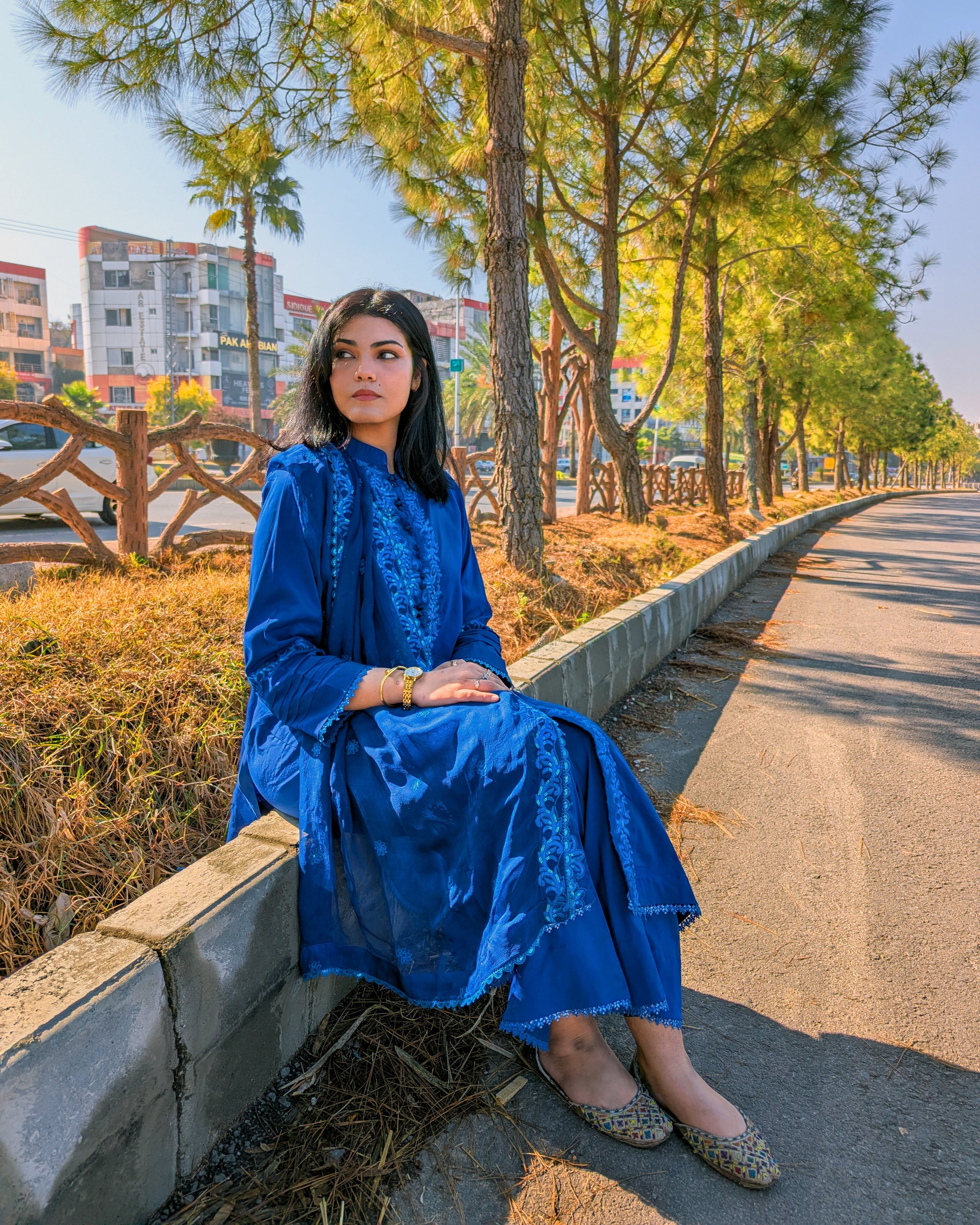 Shaam-e-Neelam