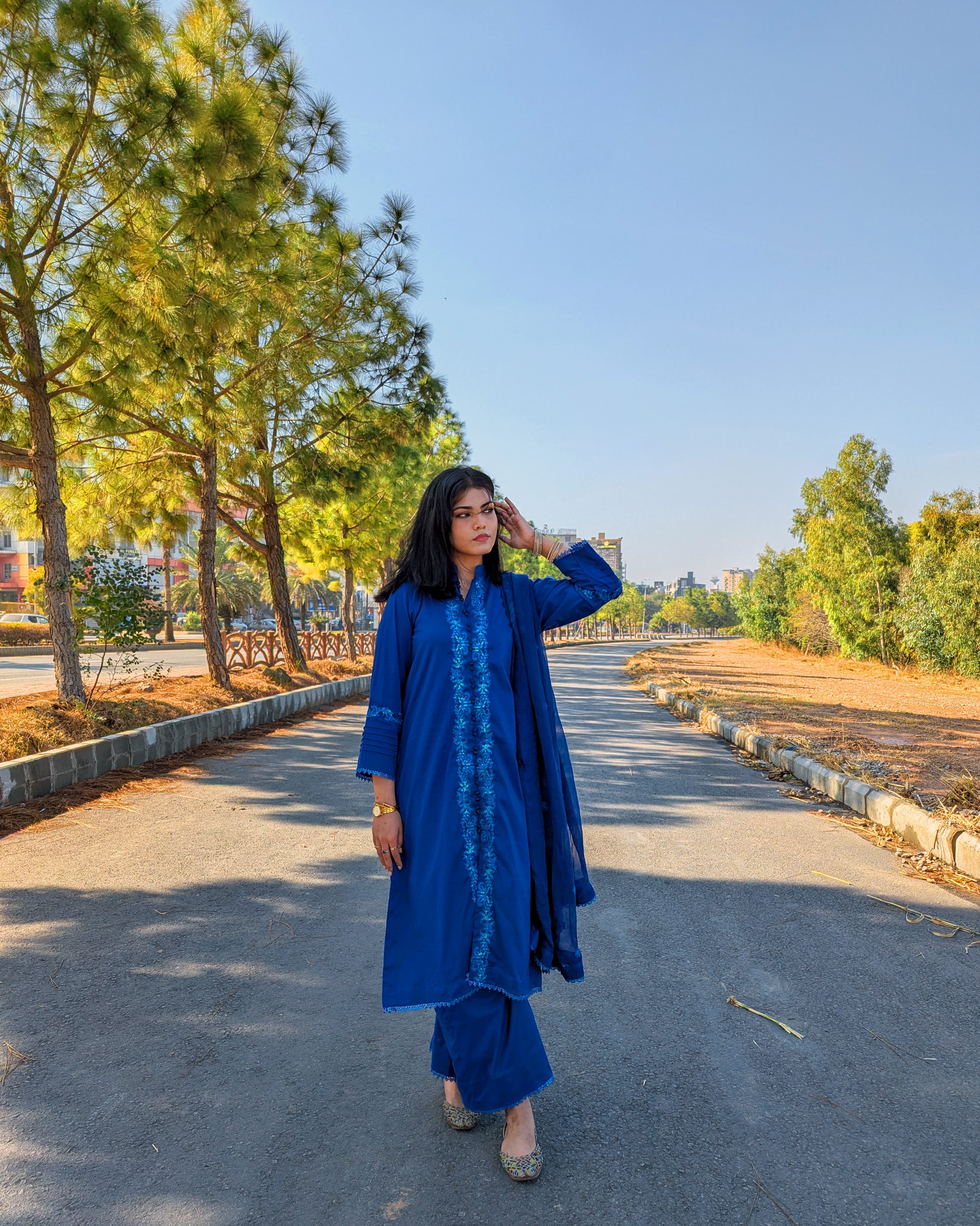 Shaam-e-Neelam