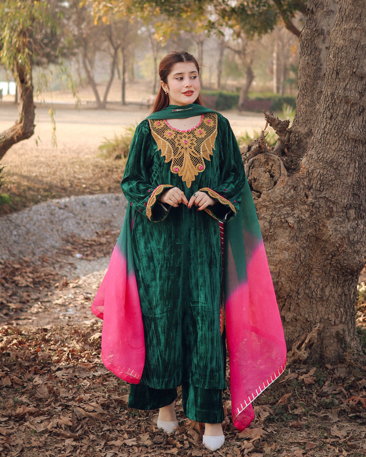 Shahi Zamurd